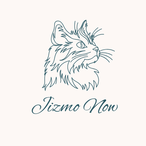 Nguyễn Ngọc Ánhh