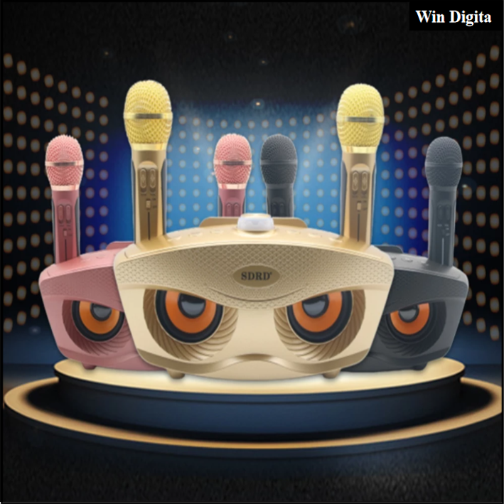 SD306 Dual Bluetooth Speaker With 2 Wireless Microphones Outdoor Family KTV Stereo Mic Big Sound 20W SDRD Sd 306 Speaker Set