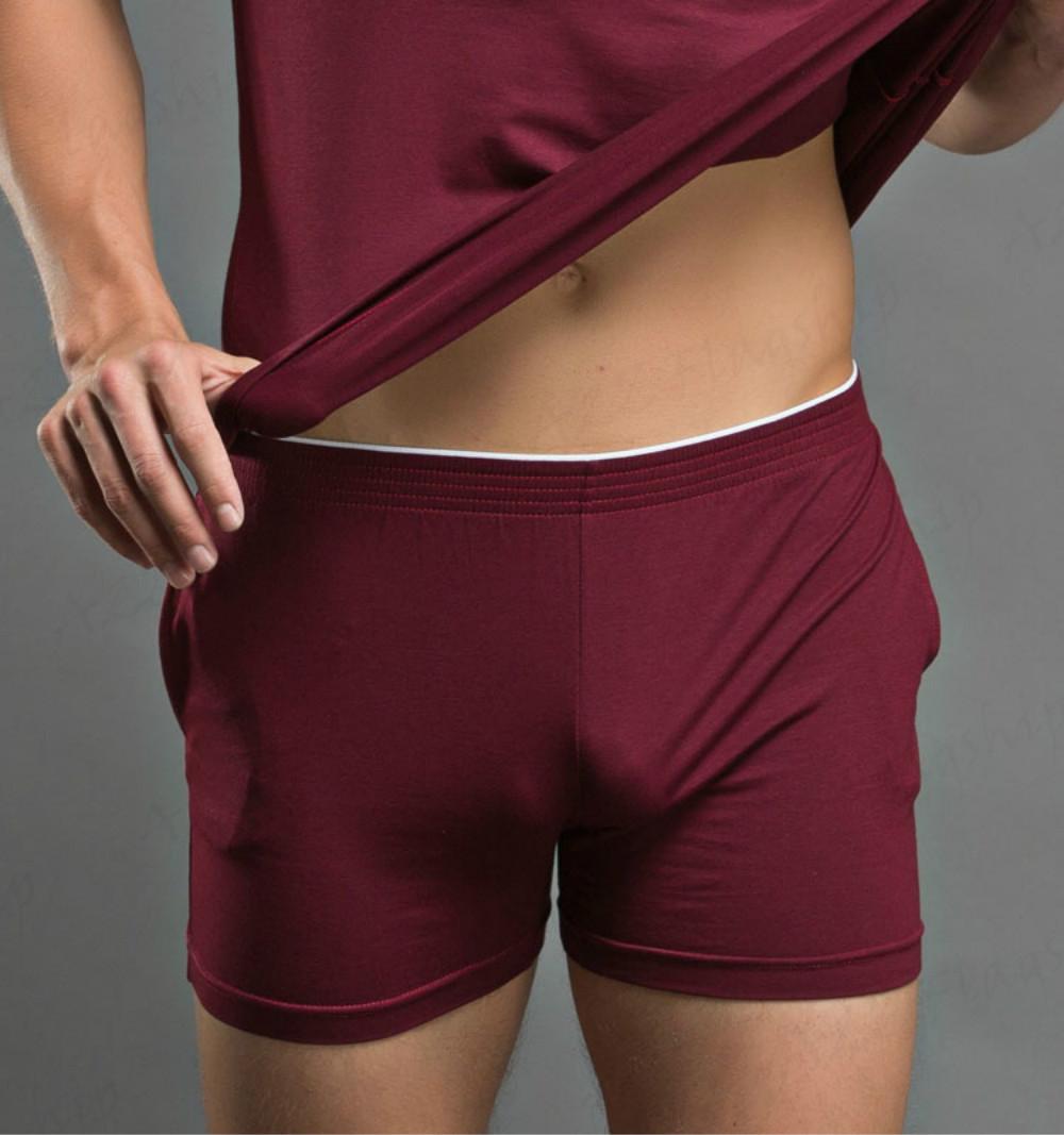 Theias Men Sportswear Pants Nightwear Shorts Home Wear Gym Trunks Underpants Underwear JM004